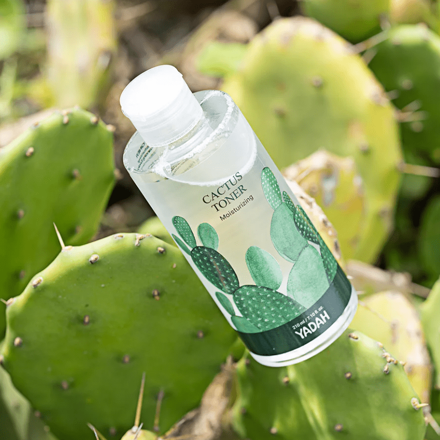 Yadah - Yadah - Tonique au Cactus - 210ml - LYSSA SELECT